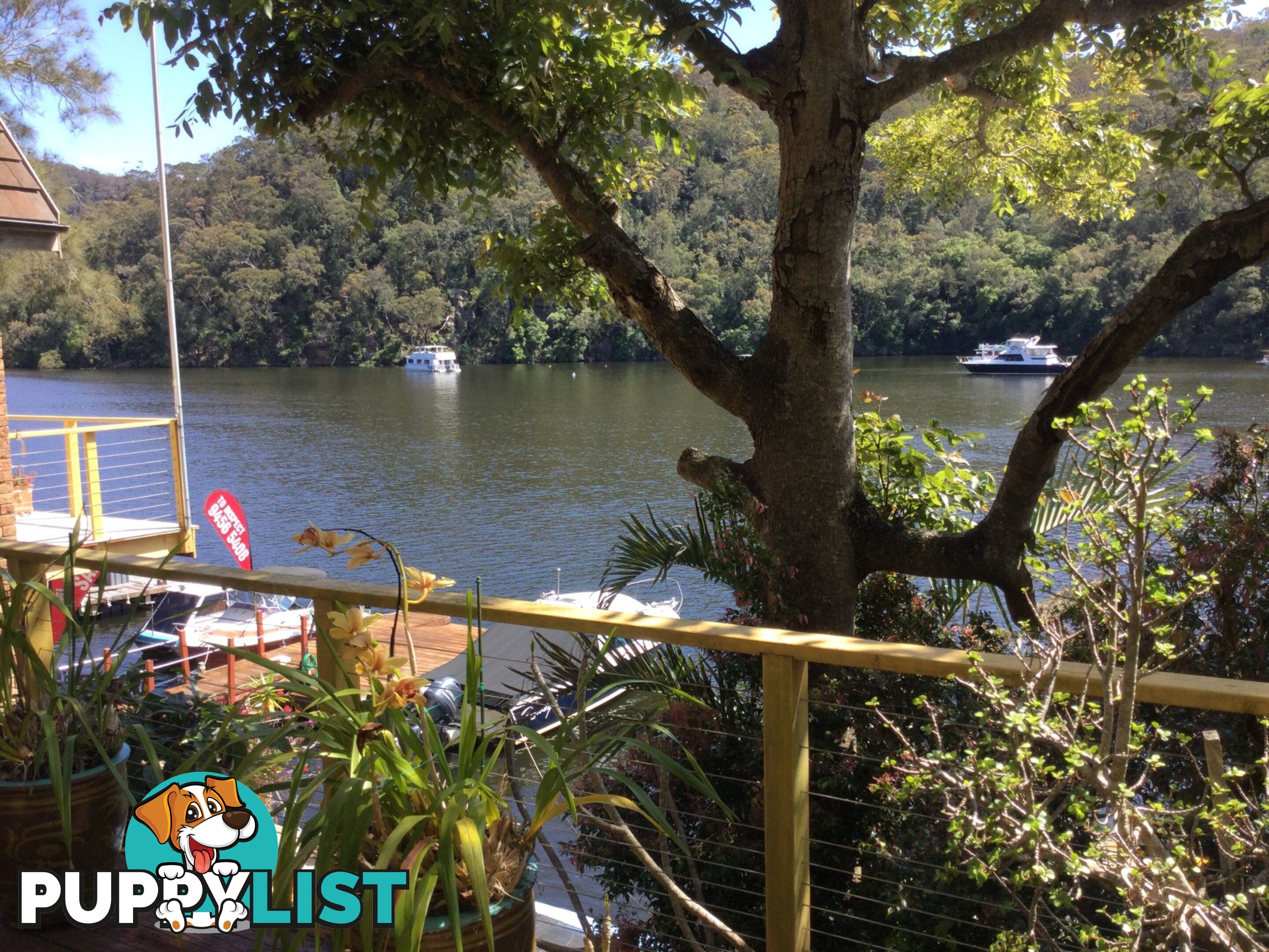 6 Calabash Point BEROWRA WATERS NSW 2082