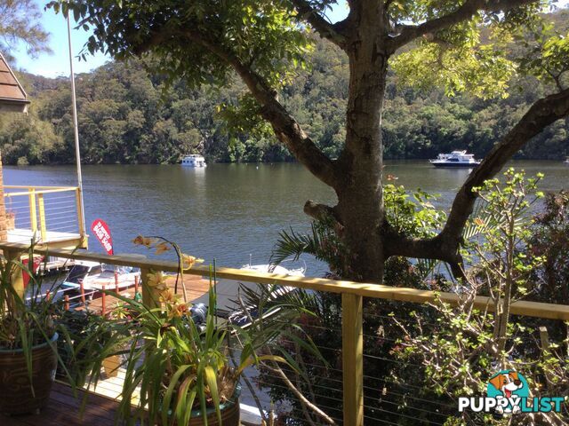 6 Calabash Point BEROWRA WATERS NSW 2082