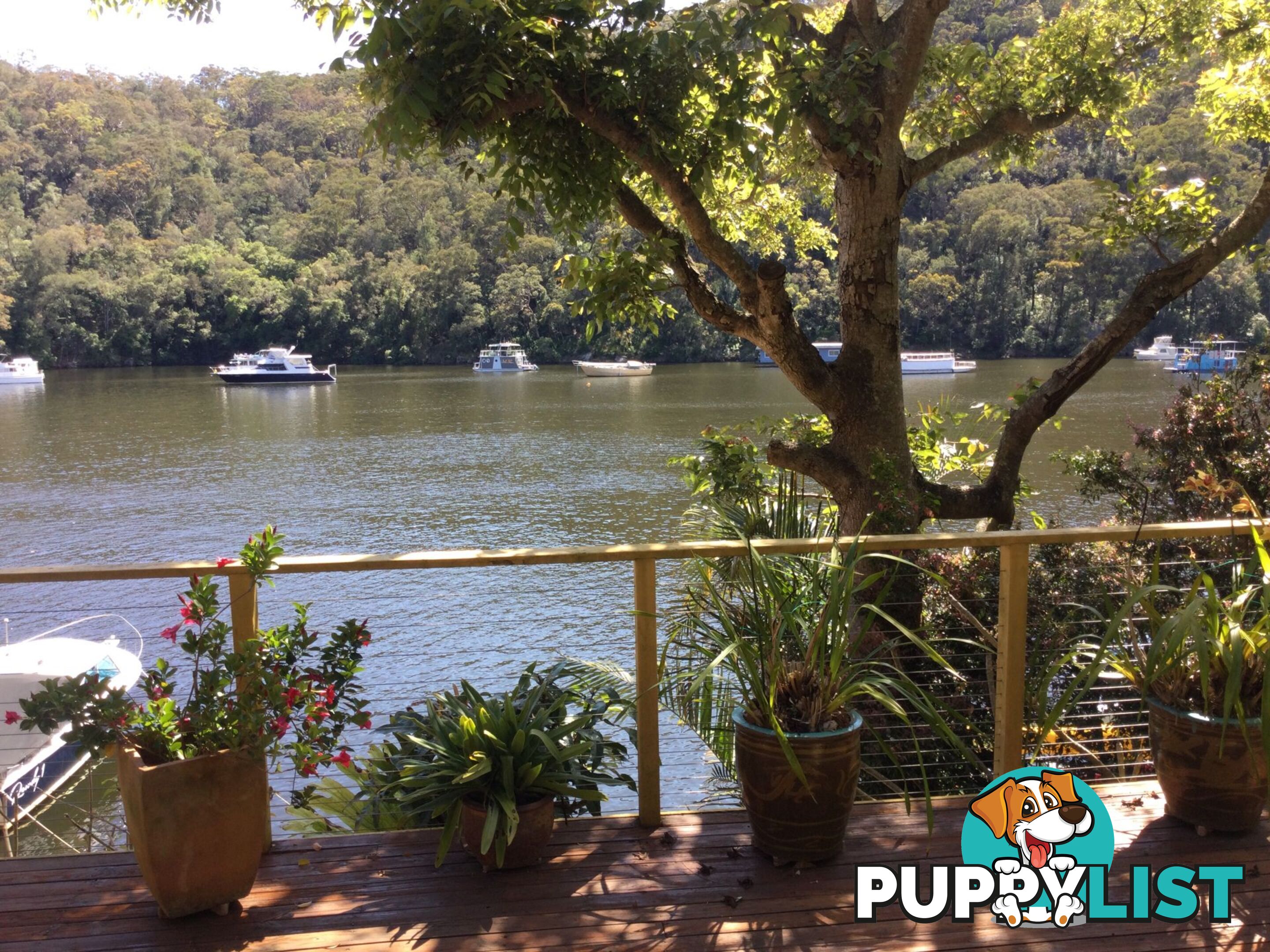 6 Calabash Point BEROWRA WATERS NSW 2082