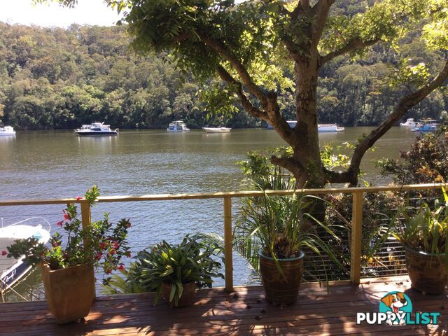 6 Calabash Point BEROWRA WATERS NSW 2082