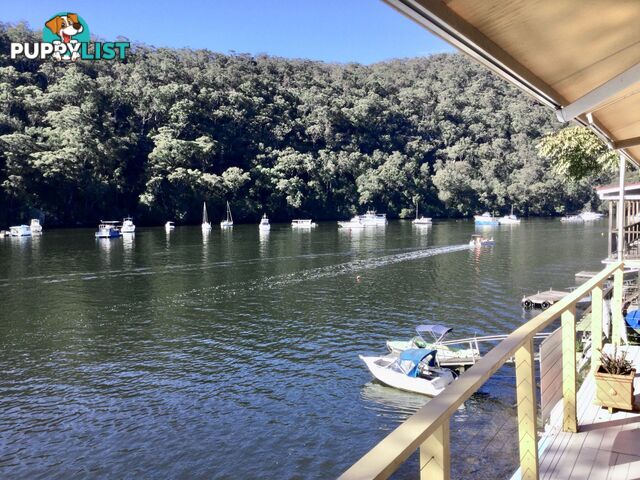 6 Calabash Point BEROWRA WATERS NSW 2082