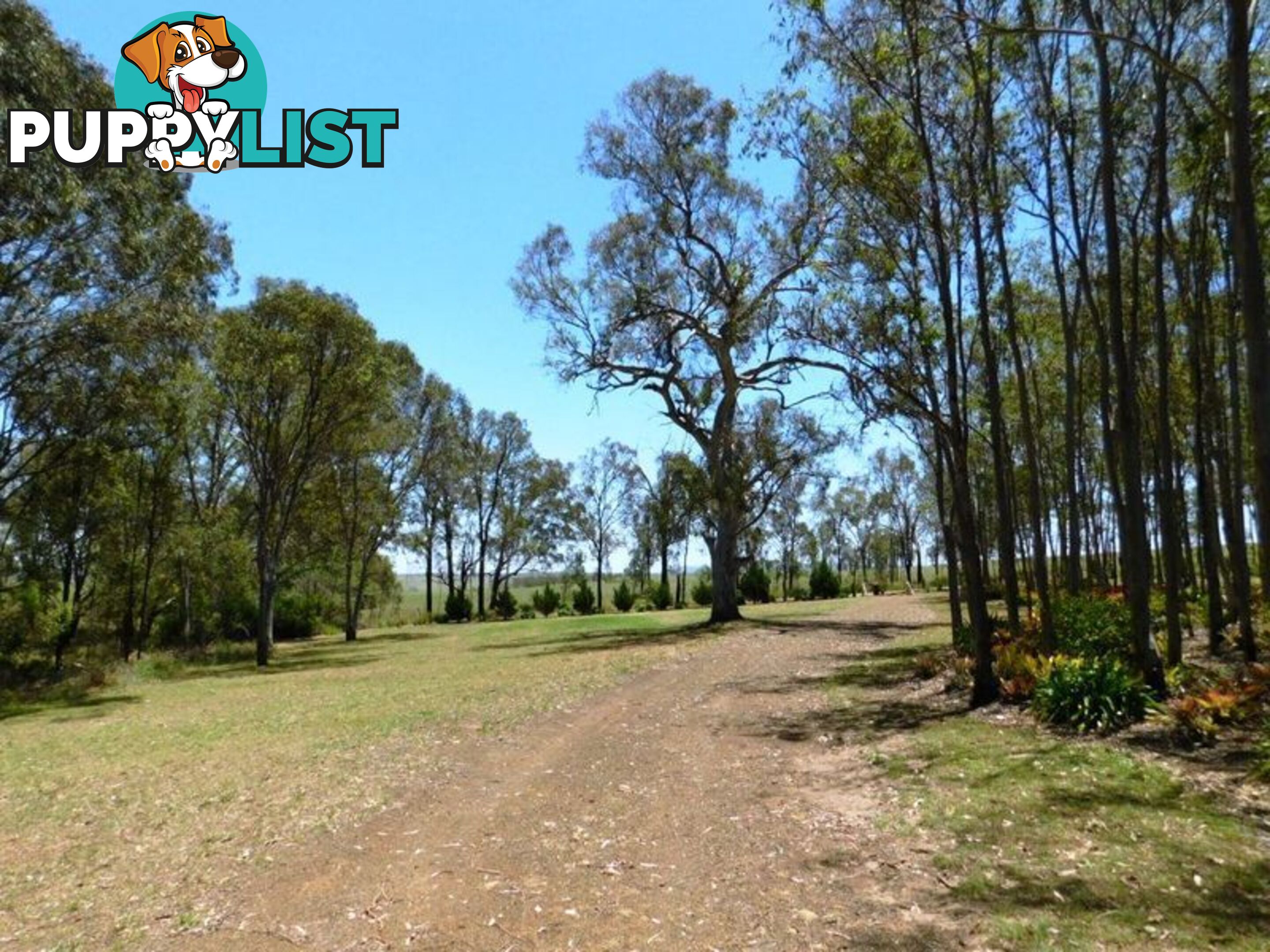 212 Scotts Lane RUNNYMEDE QLD 4615