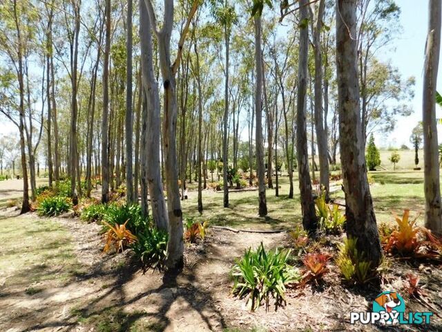 212 Scotts Lane RUNNYMEDE QLD 4615