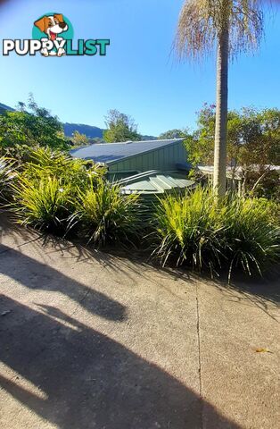 33-37 Towen View Court Towen Mountain QLD 4560