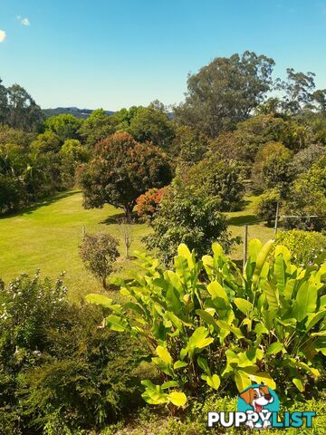 33-37 Towen View Court Towen Mountain QLD 4560