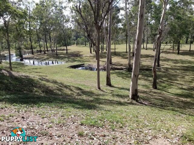 Buxton QLD 4660