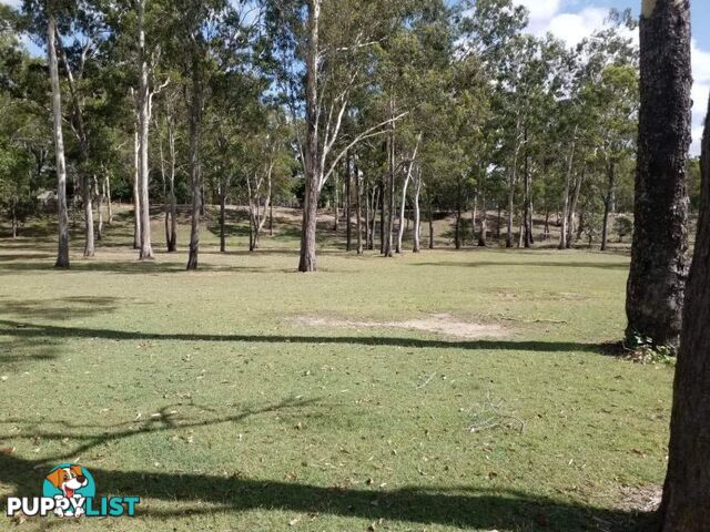 Buxton QLD 4660