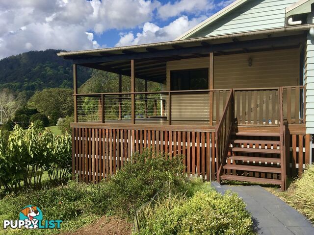 165 Gungas Road NIMBIN NSW 2480