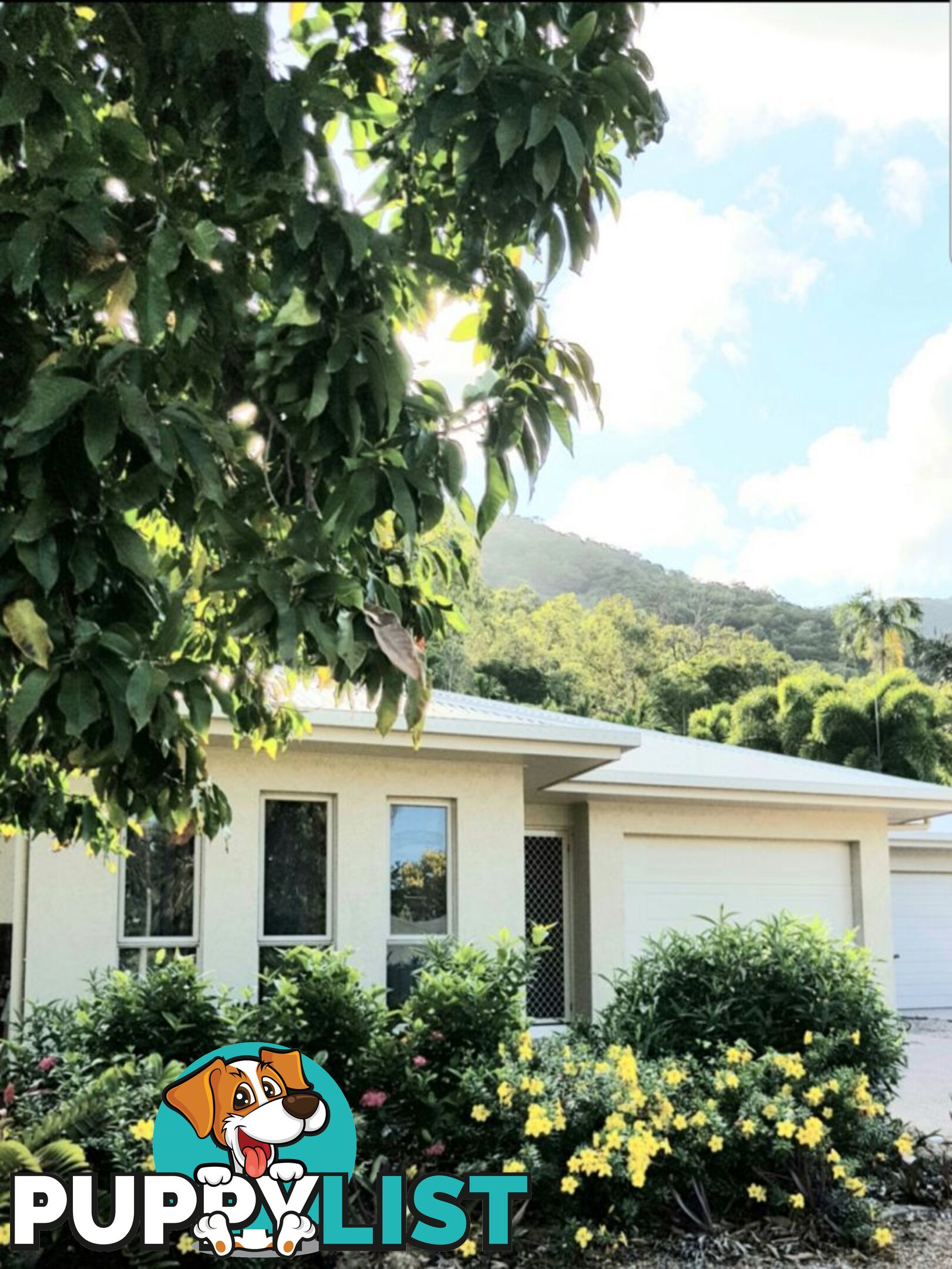 7a Savaii close Palm Cove QLD 4879