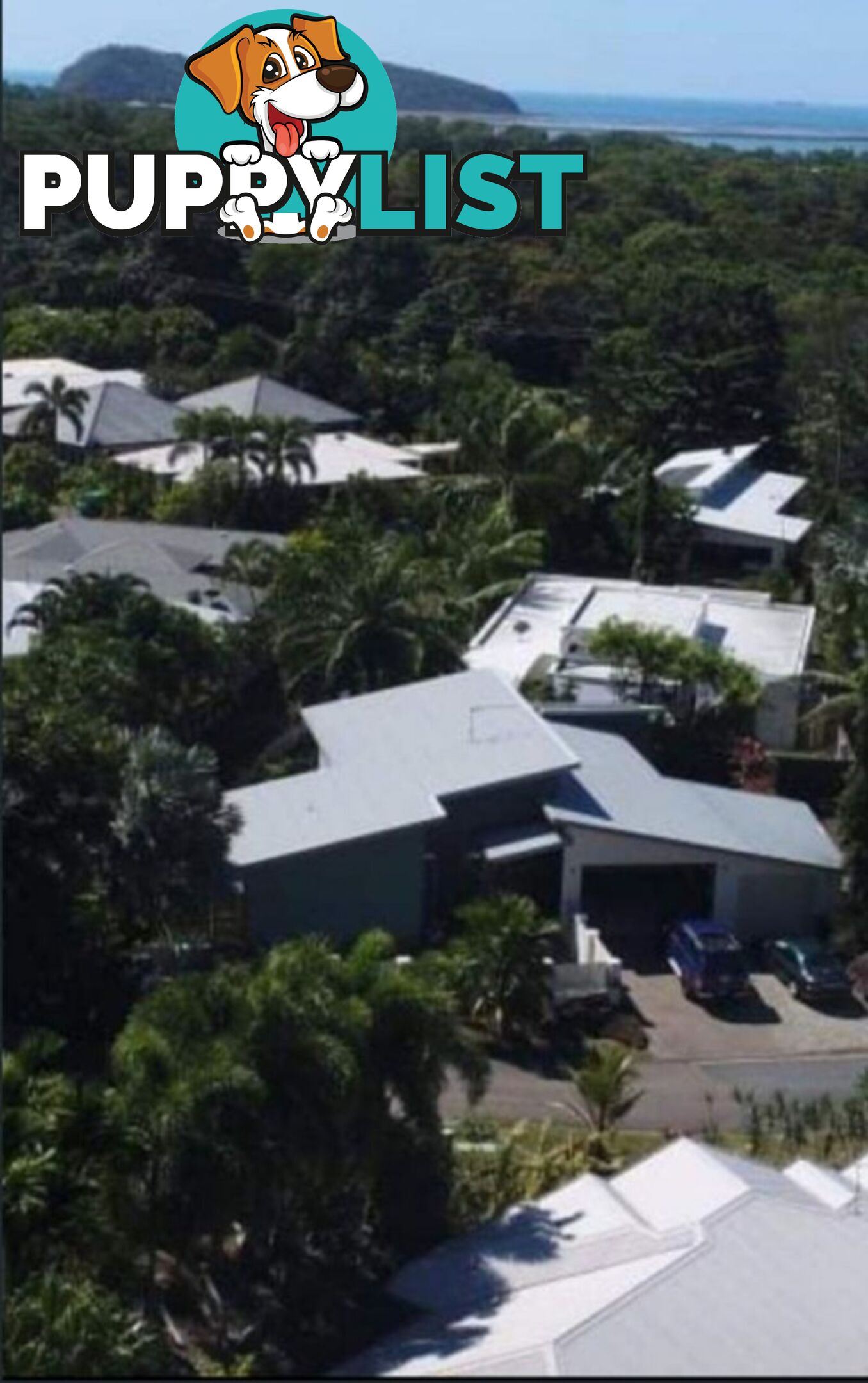 7a Savaii close Palm Cove QLD 4879