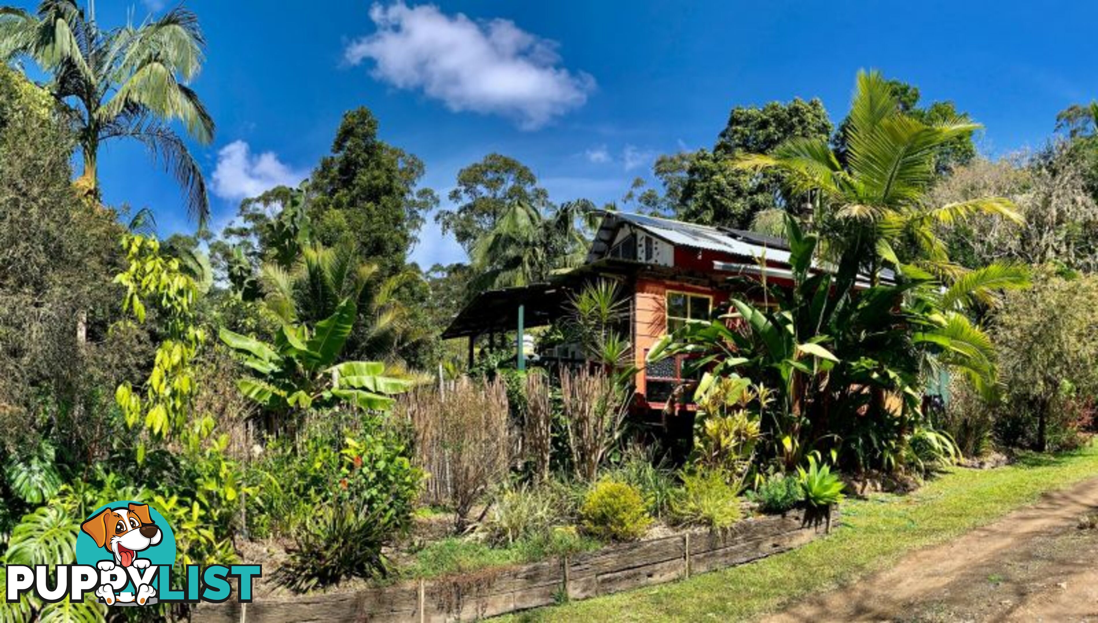 44 4505 Kyogle Rd Wadeville NSW 2474