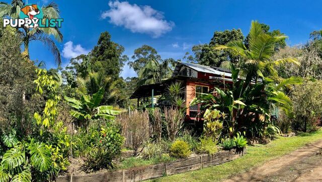 44 4505 Kyogle Rd Wadeville NSW 2474