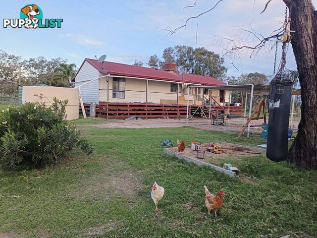 Lot 9 Church Street WEEMELAH NSW 2406