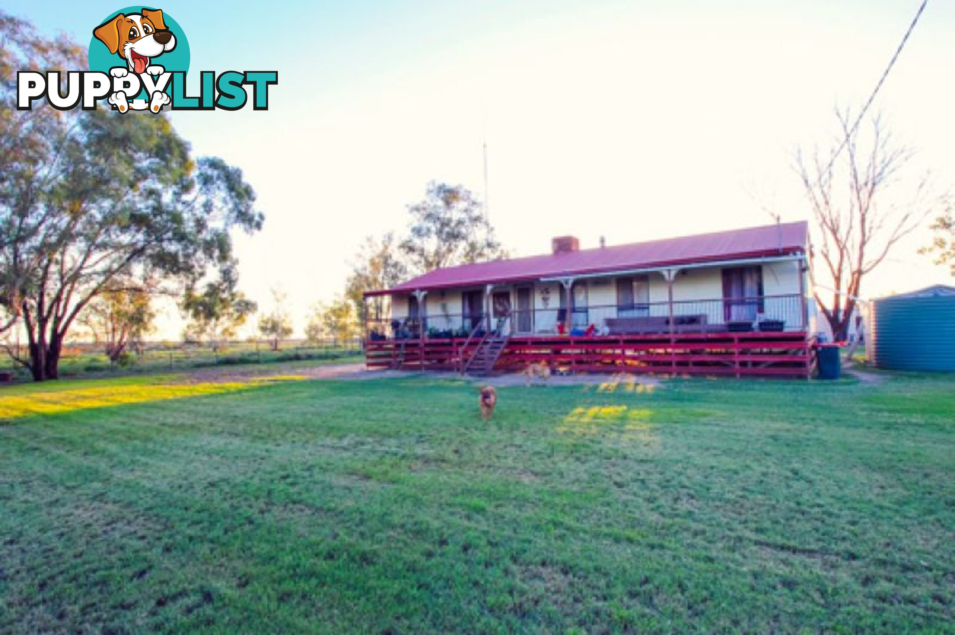 Lot 9 Church Street WEEMELAH NSW 2406