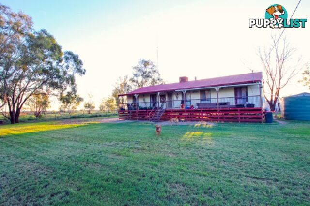 Lot 9 Church Street WEEMELAH NSW 2406