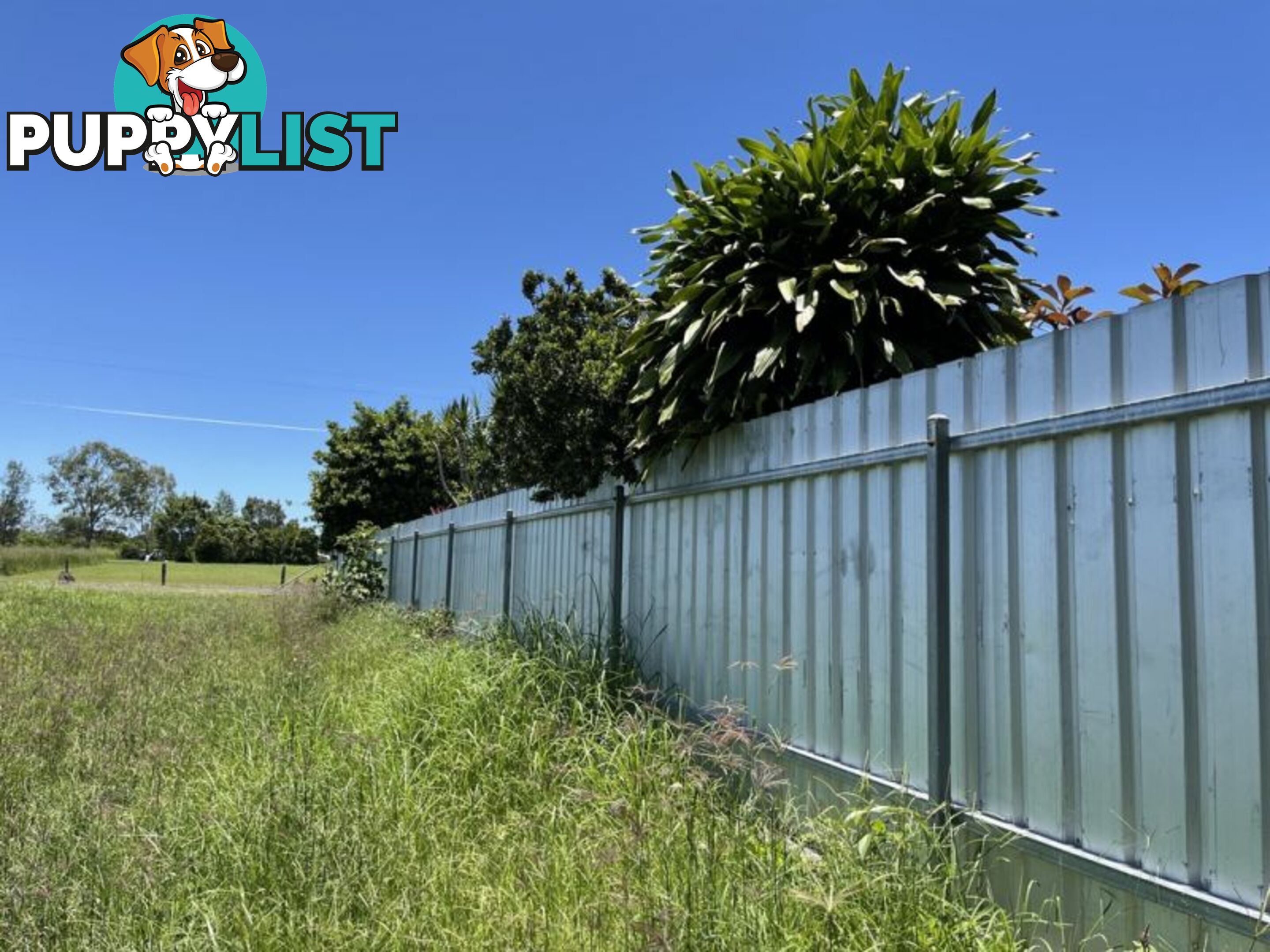 Lot 1 Avolio Drive Mareeba QLD 4880