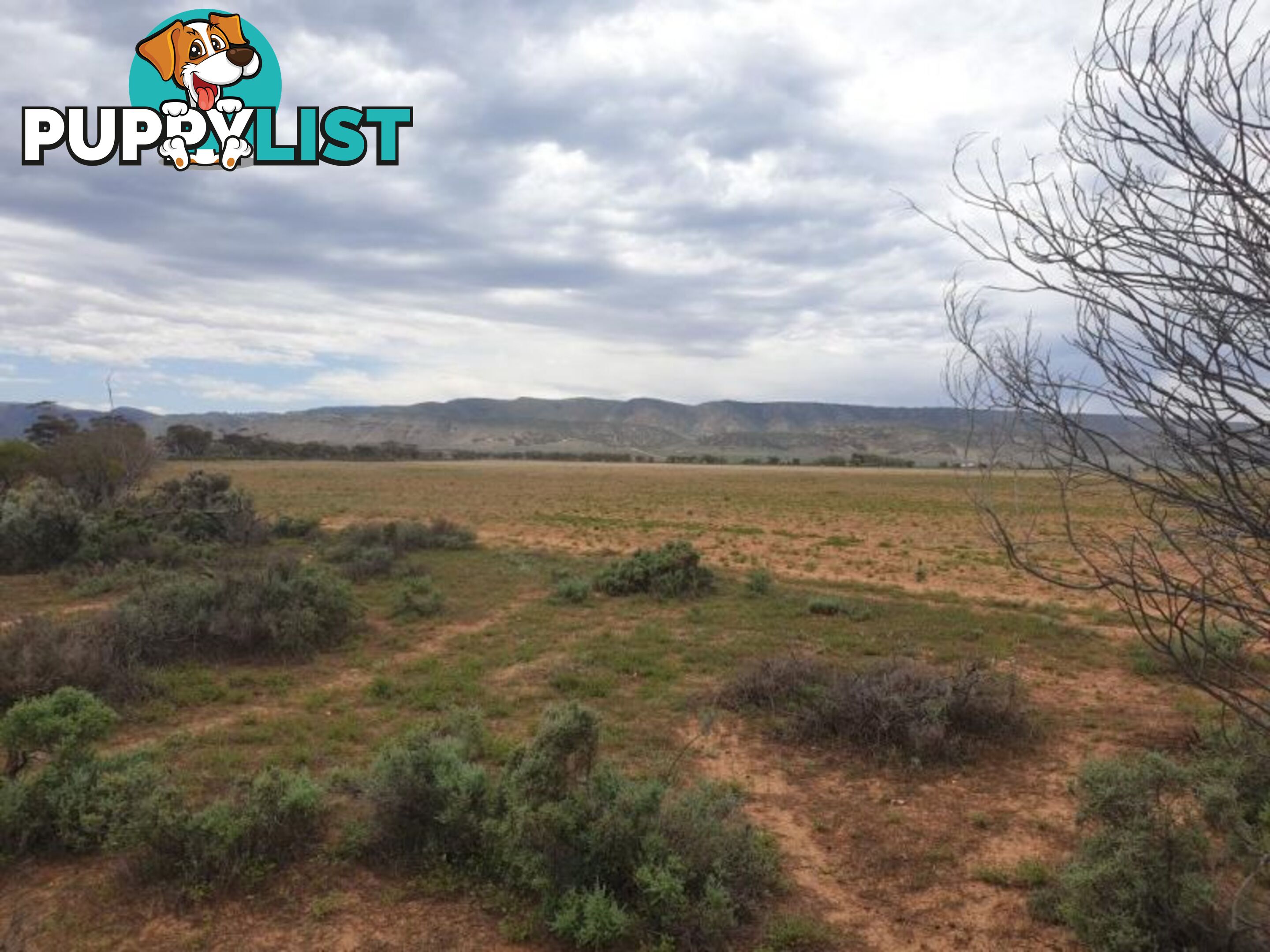 Lot 1 Miranda Rd Miranda SA 5700