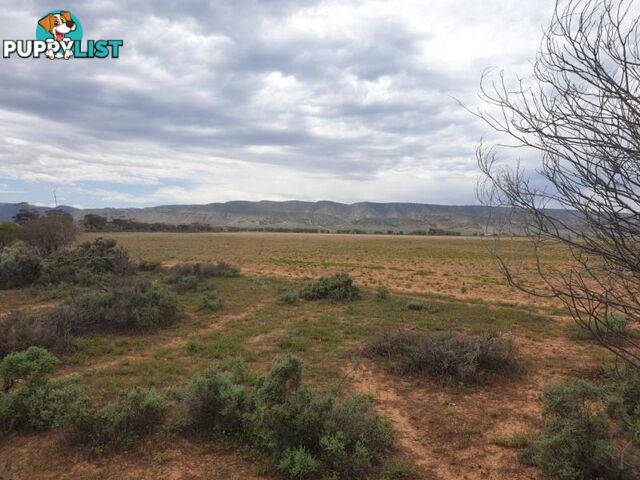 Lot 1 Miranda Rd Miranda SA 5700