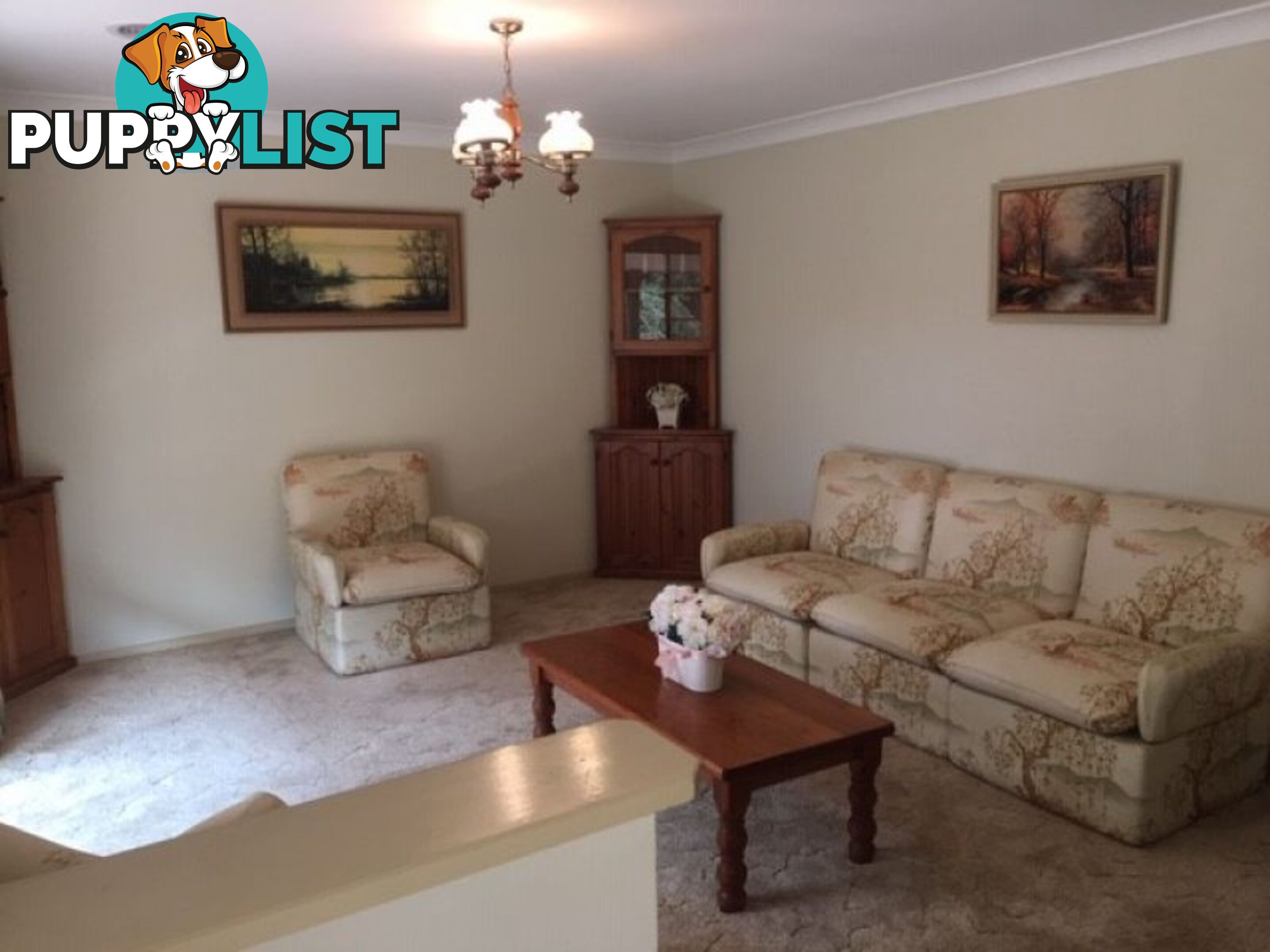 56 Cornwall Road Exeter NSW 2579