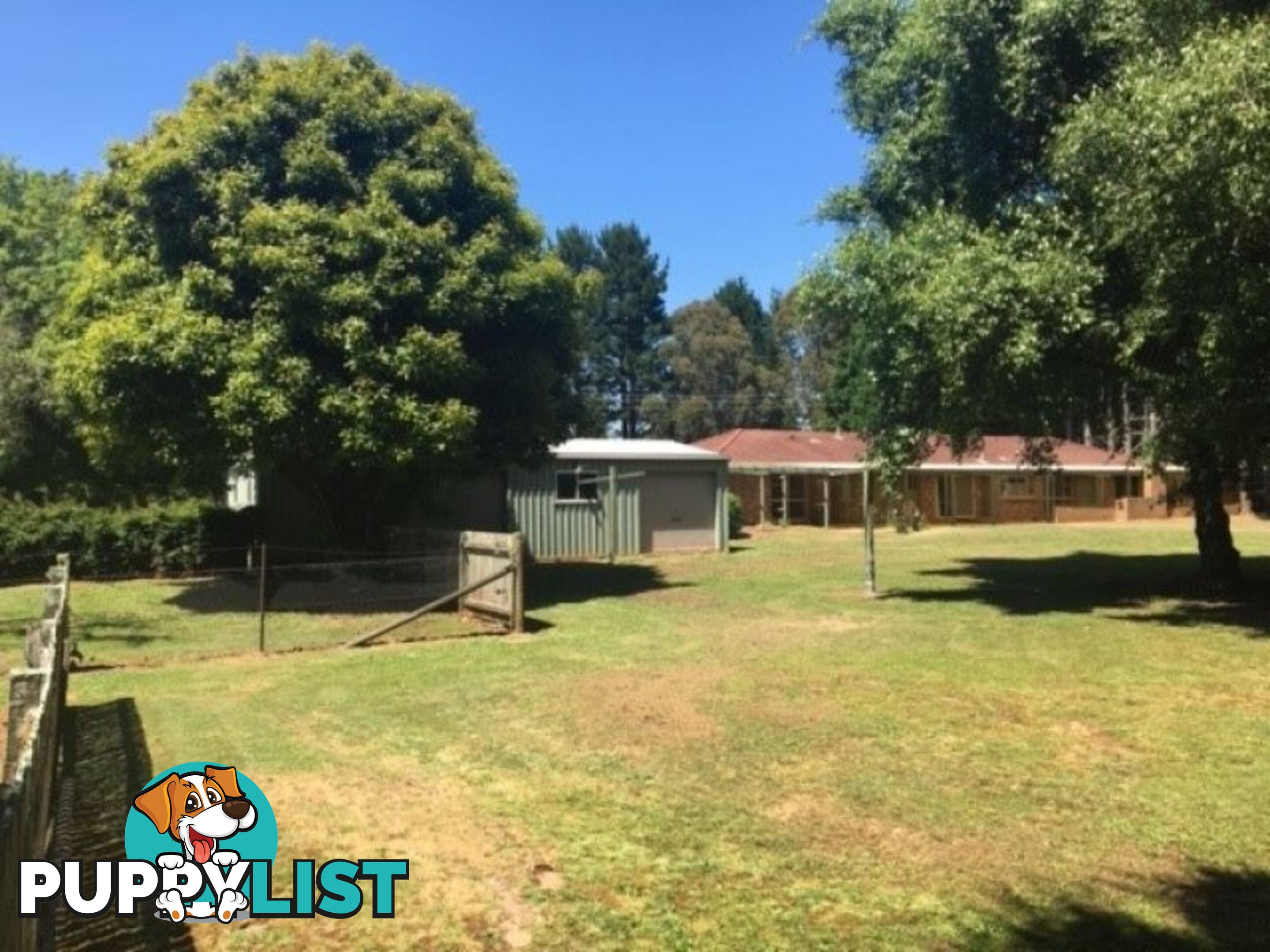 56 Cornwall Road Exeter NSW 2579