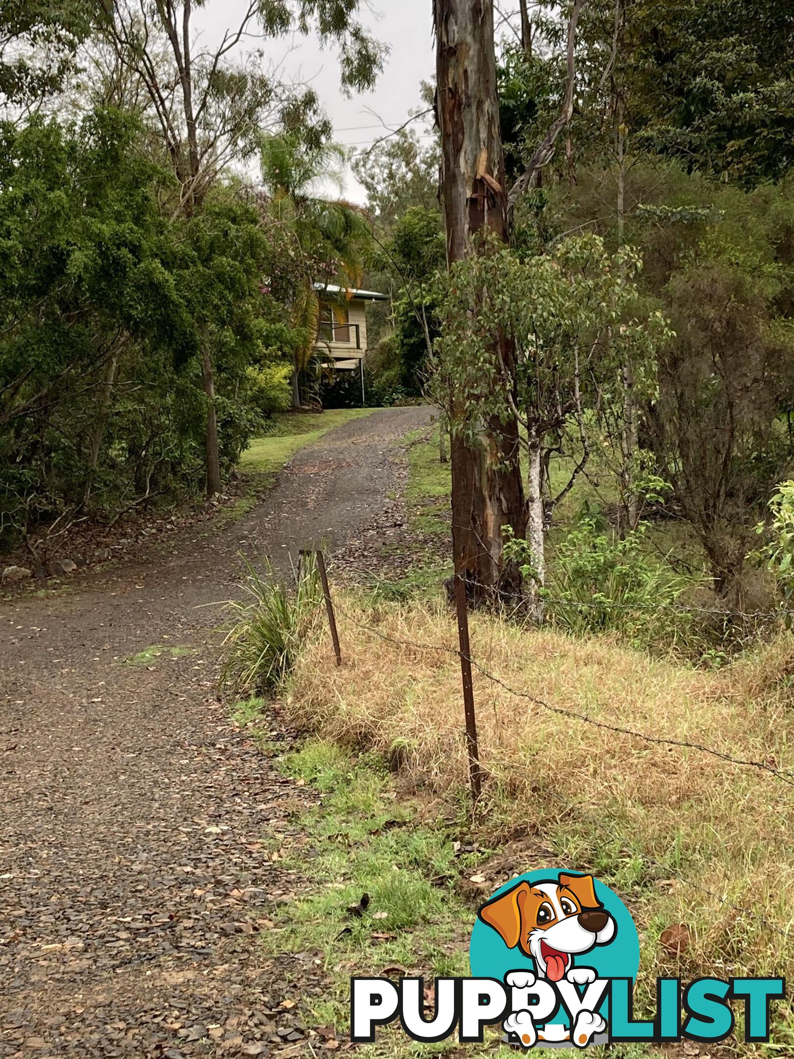 1438 Tableland Road HORSE CAMP QLD 4671