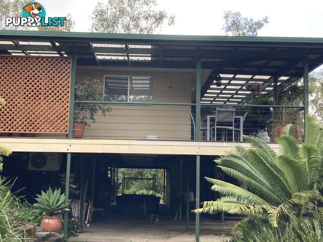 1438 Tableland Road HORSE CAMP QLD 4671