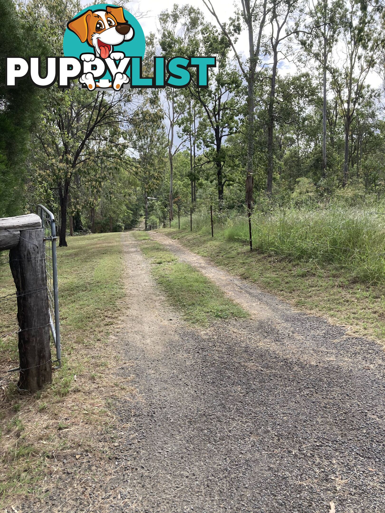 1438 Tableland Road HORSE CAMP QLD 4671