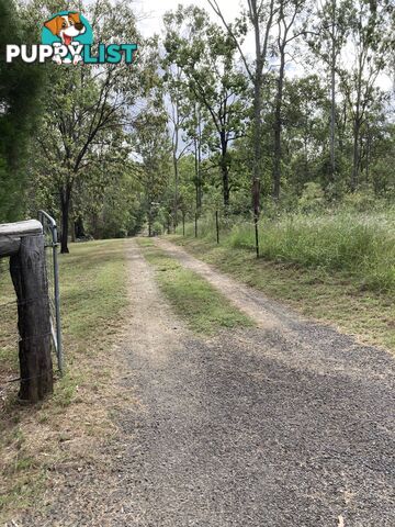 1438 Tableland Road HORSE CAMP QLD 4671