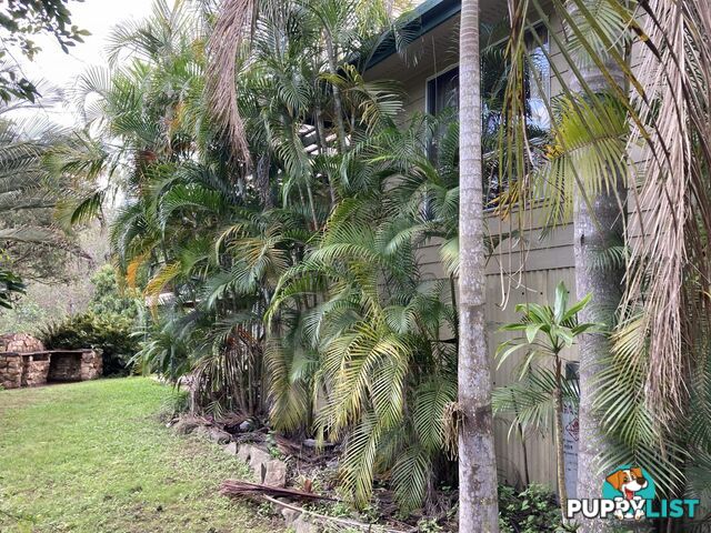 1438 Tableland Road HORSE CAMP QLD 4671