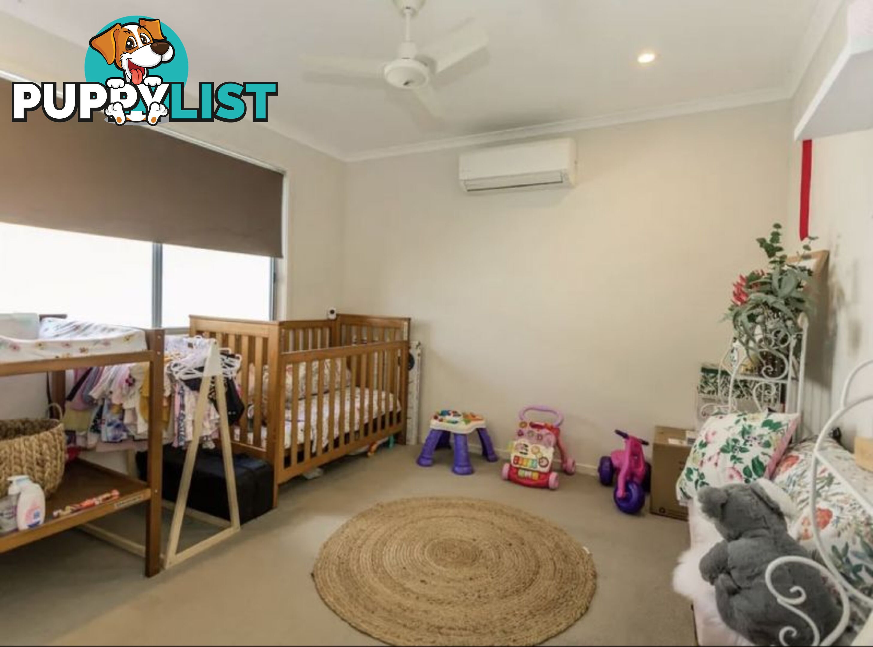 54 Kassidy Drive Emerald QLD 4720