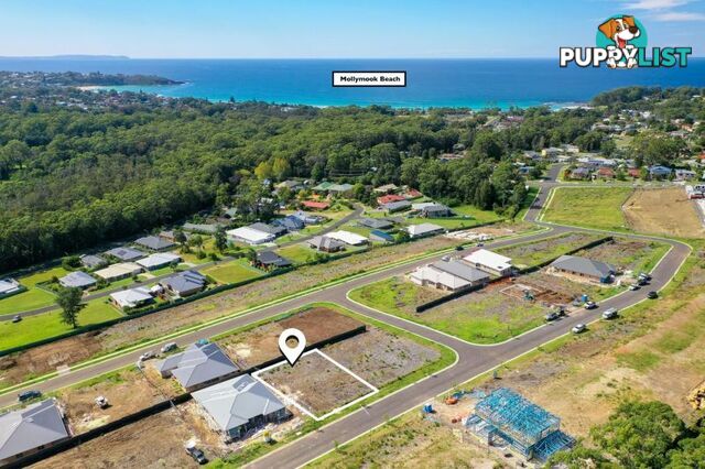 30 Nethercote Street Mollymook NSW 2539