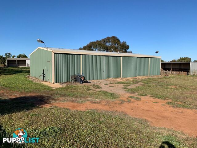 257 Giles Road Moonyoonooka WA 6532