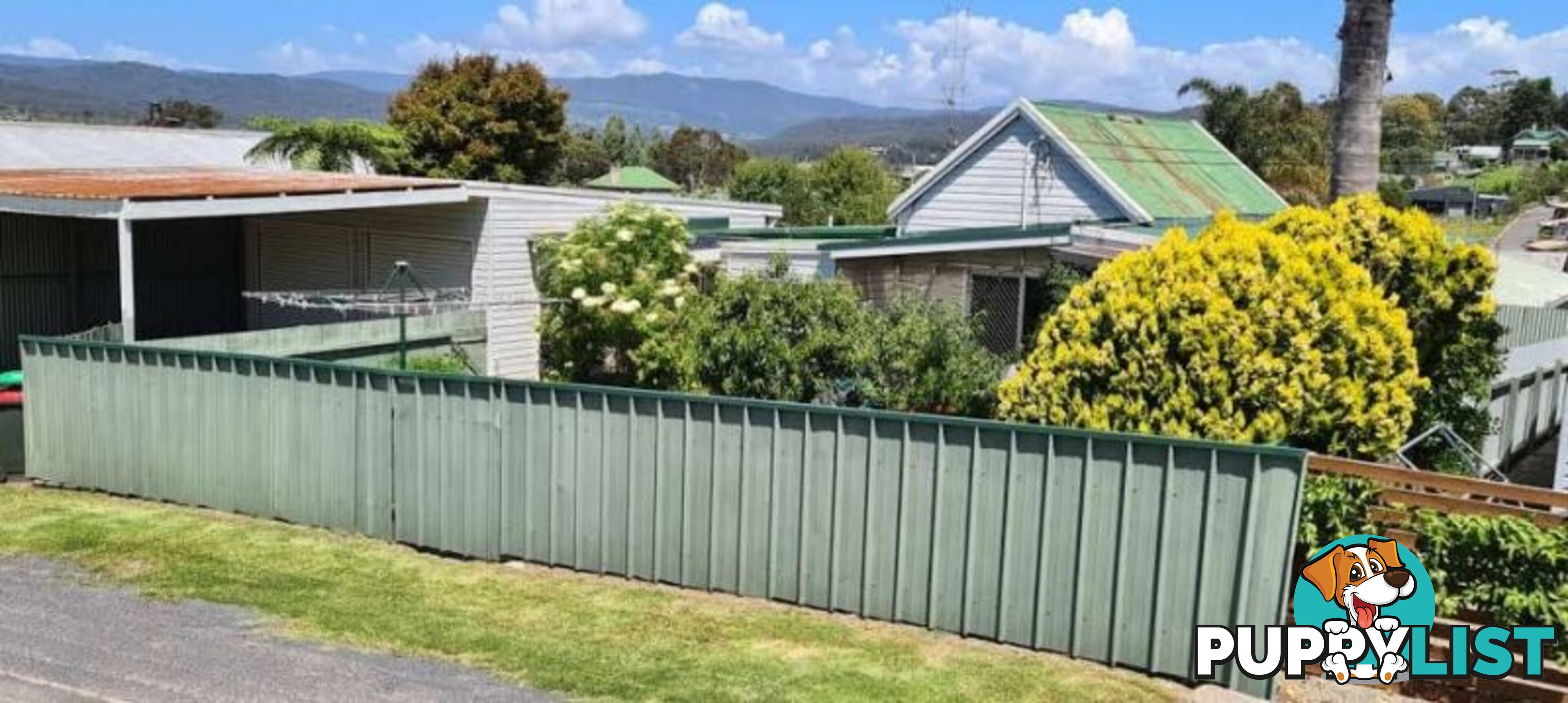 8 Little Gahan Street Pambula NSW 2549