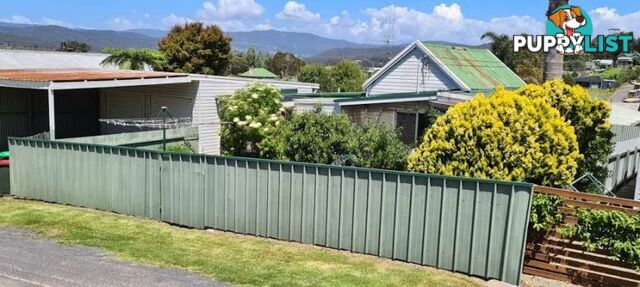 8 Little Gahan Street Pambula NSW 2549