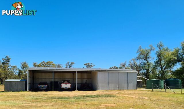 204 Castlereagh highway Mendooran NSW 2842