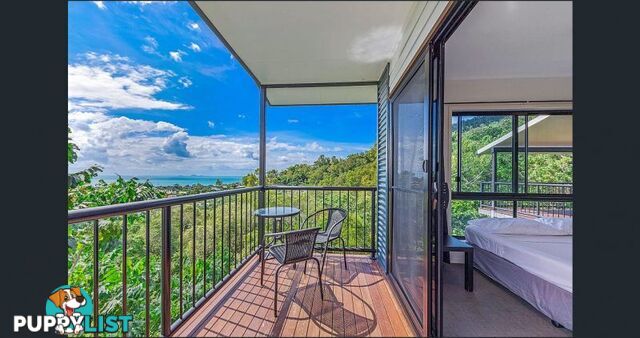 23 Yachtsmans Parade Cannonvale QLD 4802