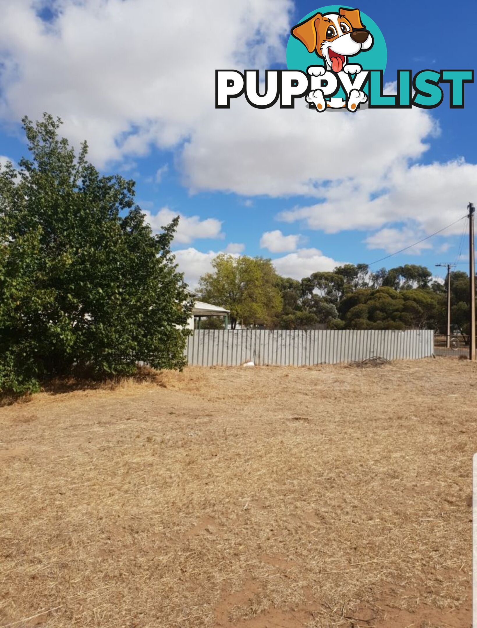 2 Joffre Avenue Pinnaroo SA 5304