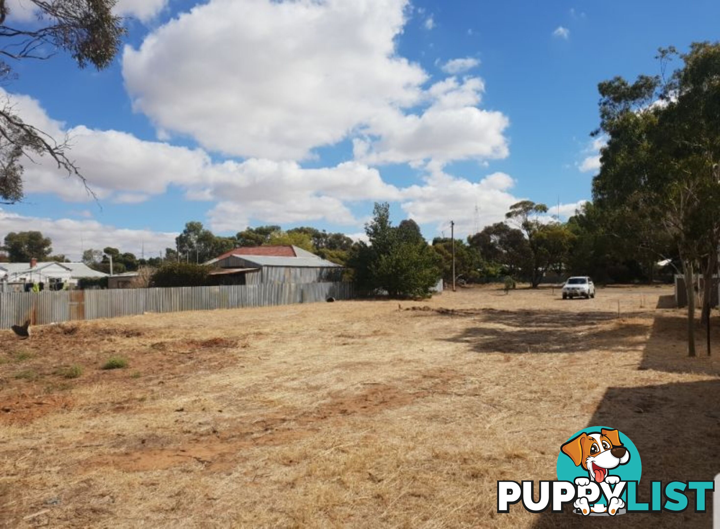 2 Joffre Avenue Pinnaroo SA 5304