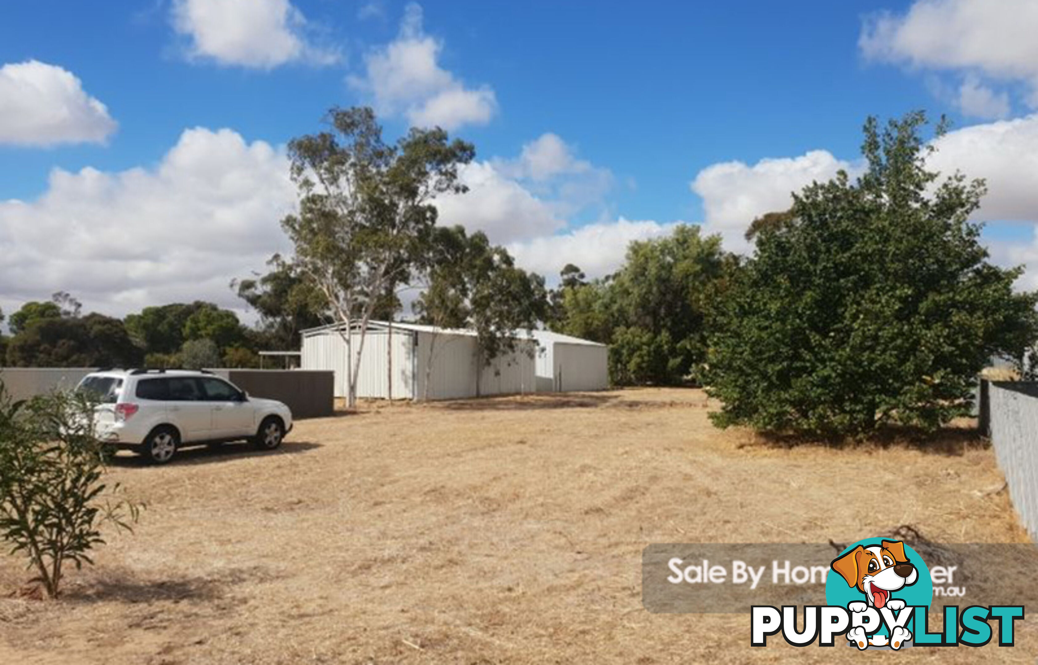 2 Joffre Avenue Pinnaroo SA 5304