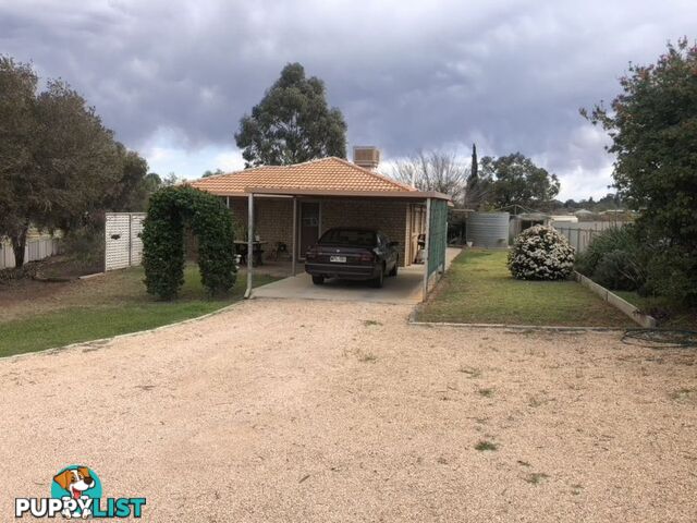 89 Hughes Avenue Paringa SA 5340