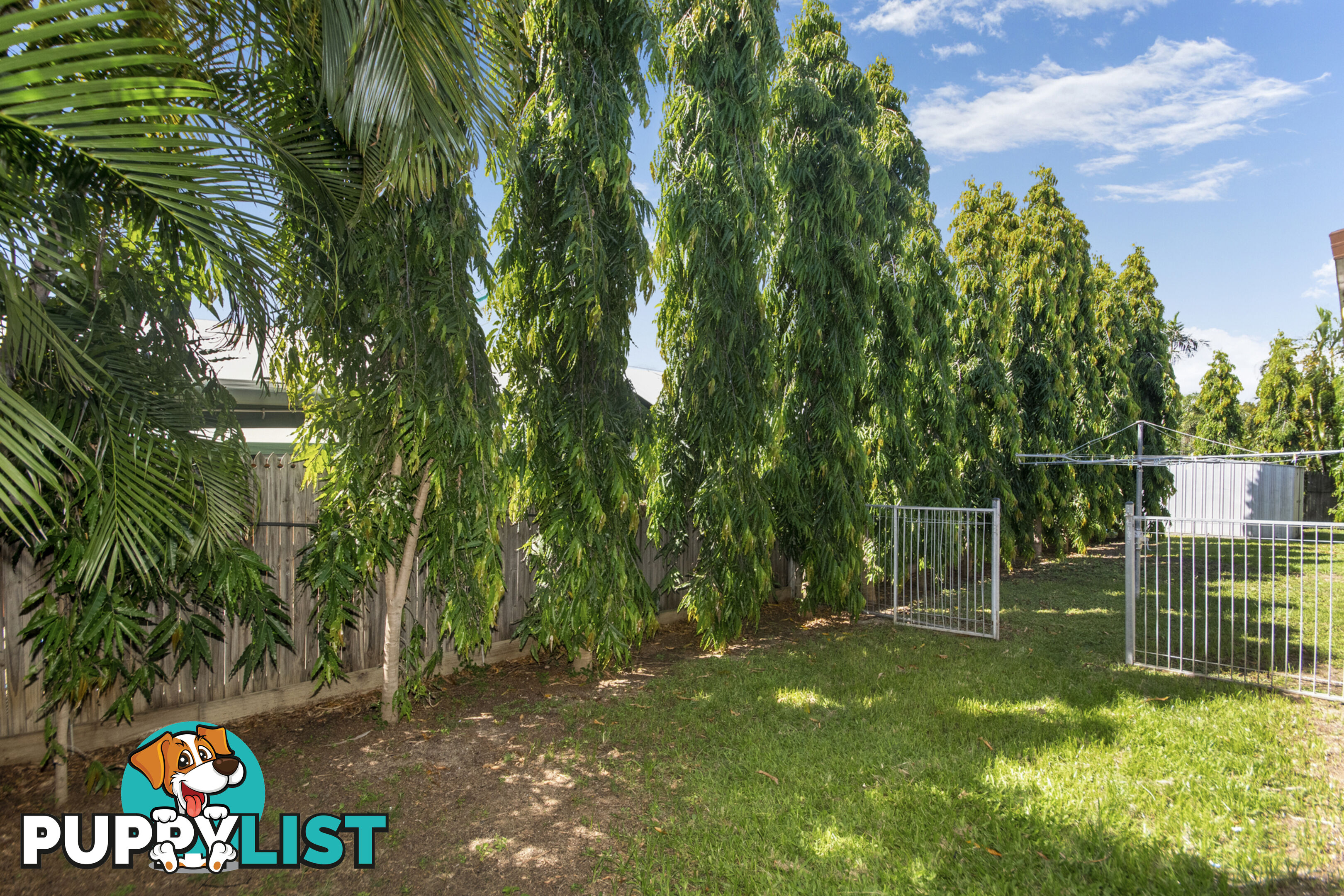 6 Emerald St Kirwan QLD 4817