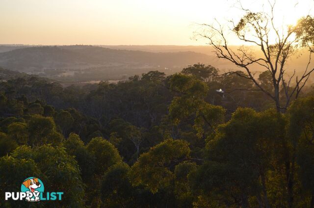 60 Sesselis Road Toodyay WA 6566