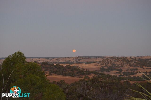 60 Sesselis Road Toodyay WA 6566