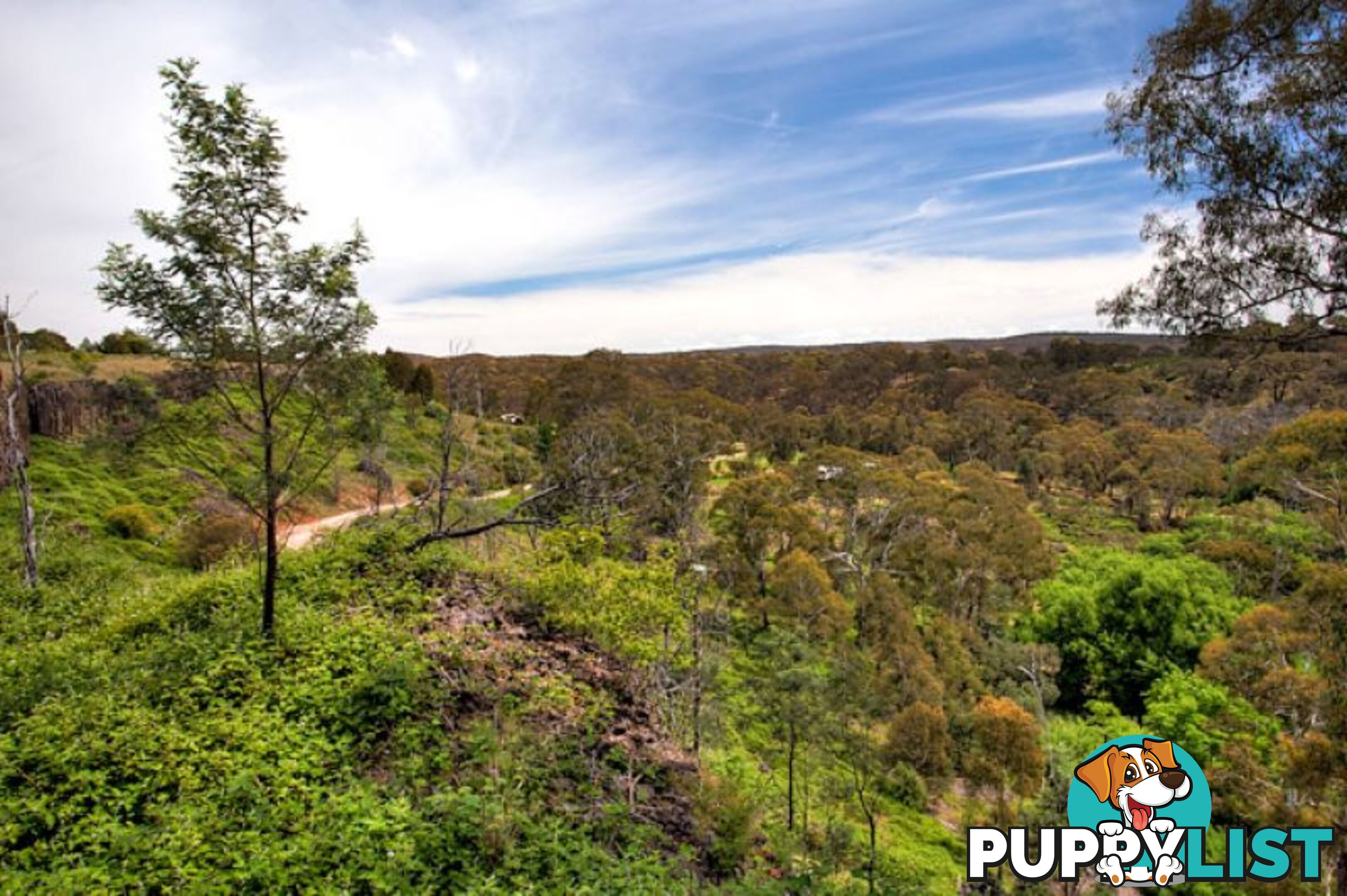 239 Hepburn Newstead Road Elevated Plains VIC 3461