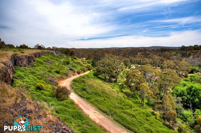 239 Hepburn Newstead Road Elevated Plains VIC 3461