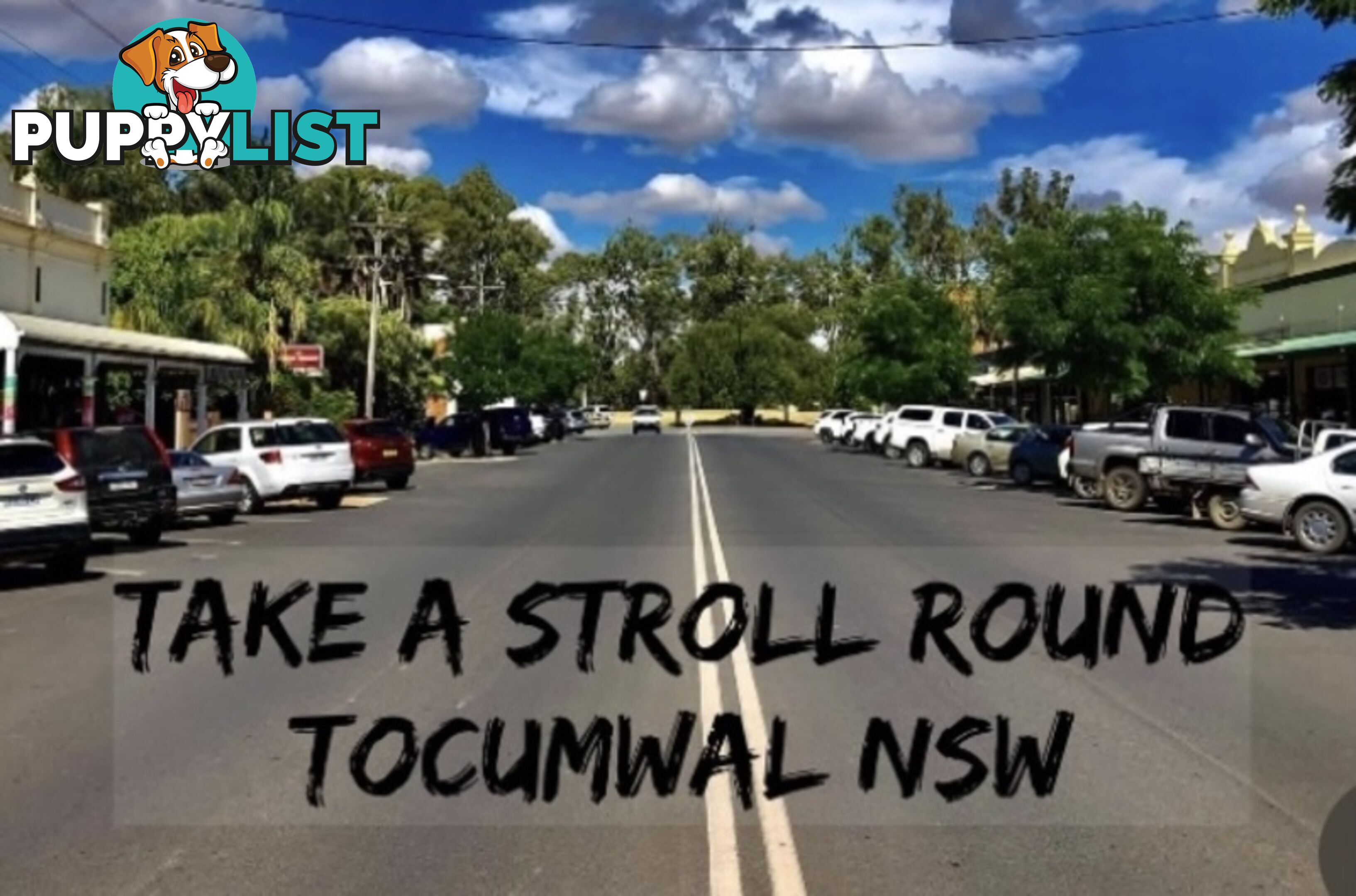 5 Athol White Court Tocumwal NSW 2714