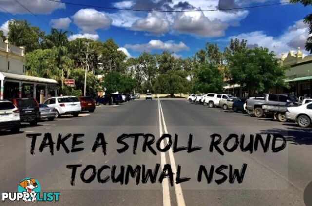 5 Athol White Court Tocumwal NSW 2714