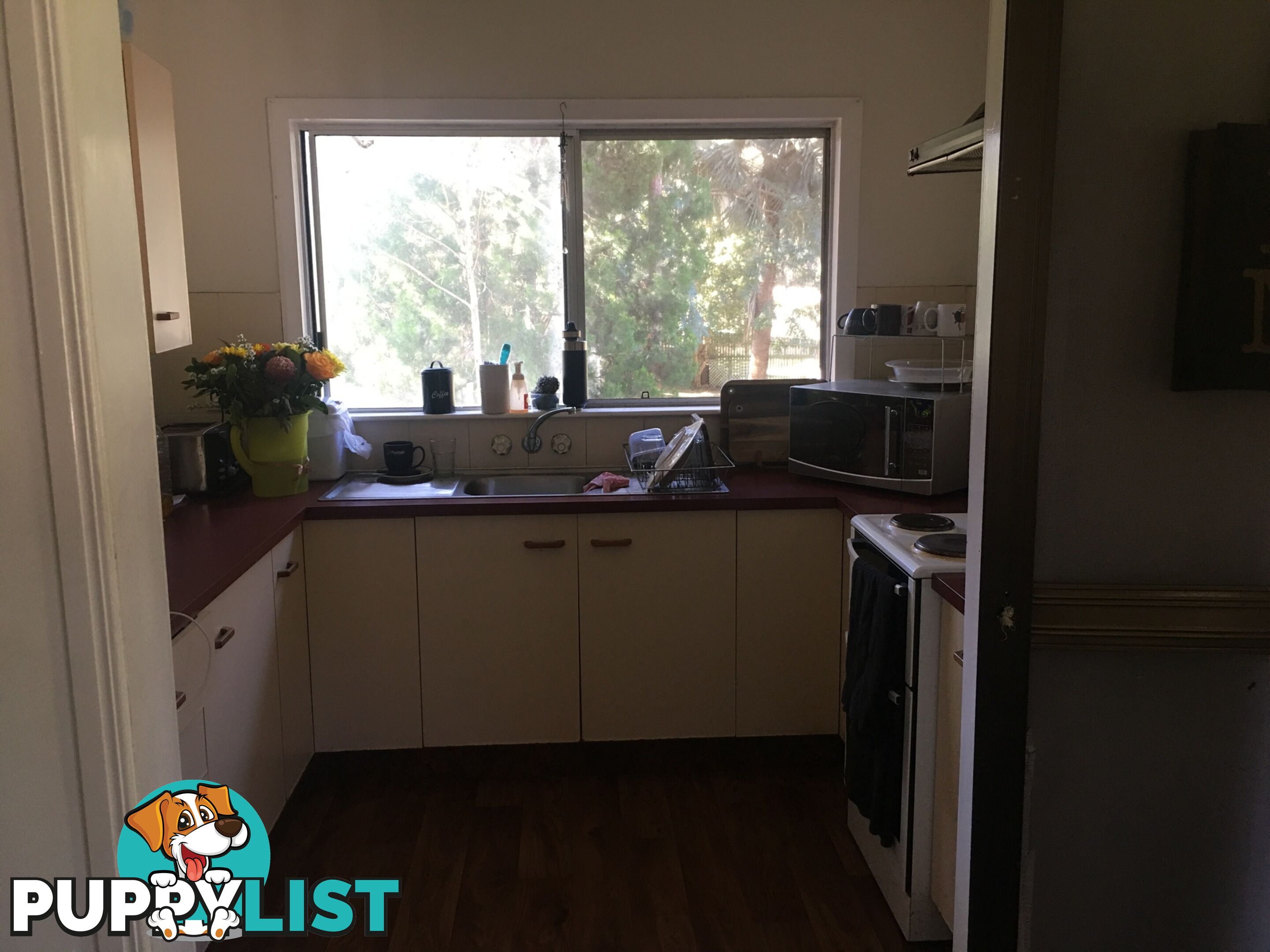 44 Harvey st Russell Island QLD 4184