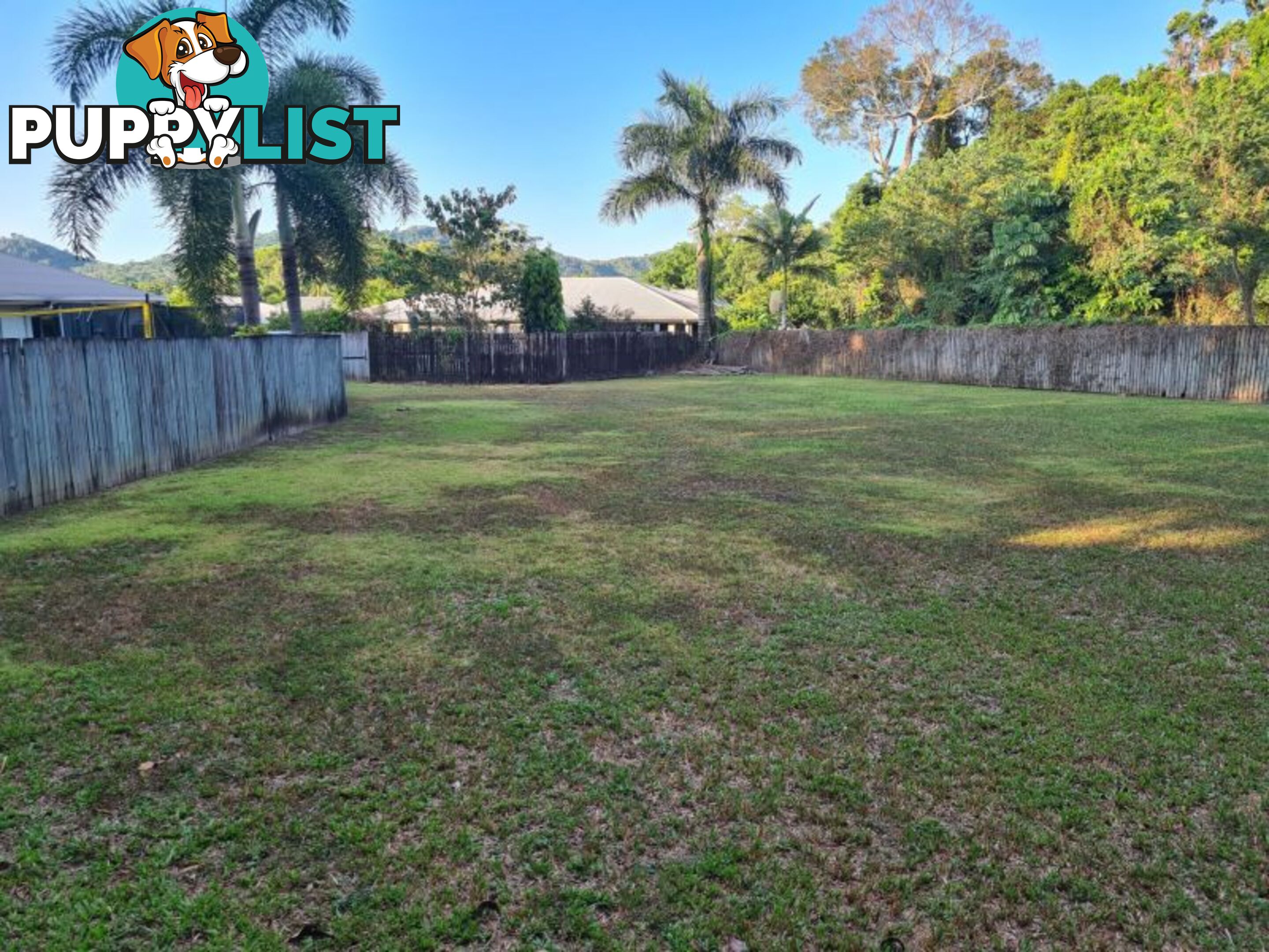 65 Dungarvan Drive Brinsmead QLD 4870