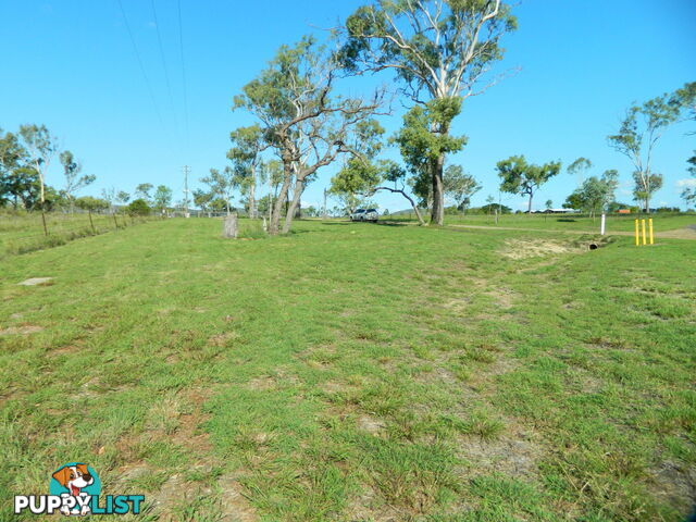 NEBO QLD 4742